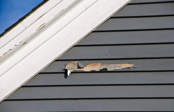 Best Demolition Debris Removal  in Tarkio, MO