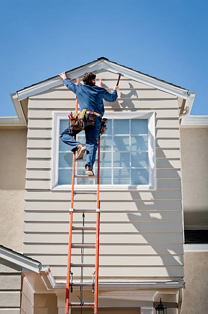 Best Hoarding Cleanup  in Tarkio, MO